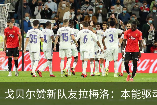 戈贝尔赞新队友拉梅洛：本能驱动的适应力强